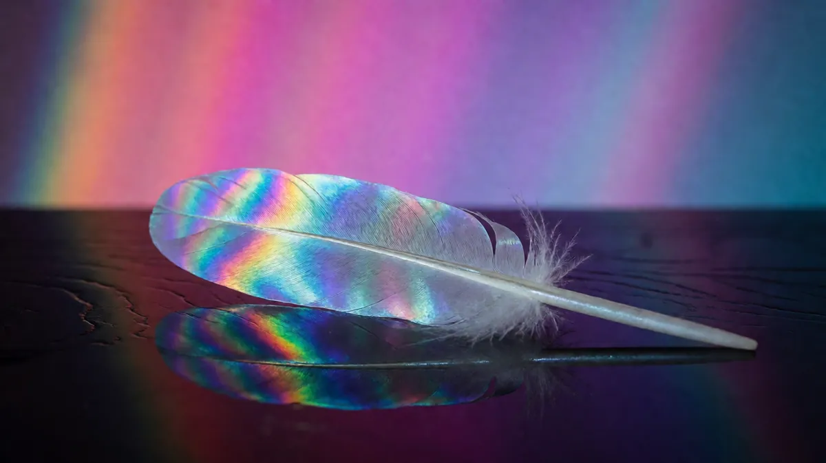 羽毛挠脚心:轻度Feather Play视频资源汇总
